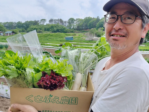 寒暖差が美味しさの秘訣！【朝どれ】高原野菜セット（６～７品目）