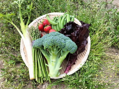 お米と新鮮野菜セットA（米2kg、５種類以上）