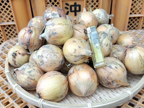 農家直送　淡路島小玉玉ねぎ3㌔