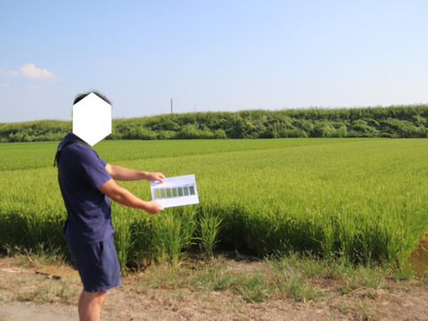 未検査米  ２０２５（令和７年） 新米１００％ 彩のかがやき 白米 約５kg（梱包含む）