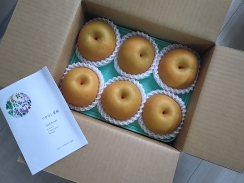 【樹上完熟】山形県産『幸水』　(5～6玉)2.2㎏以上