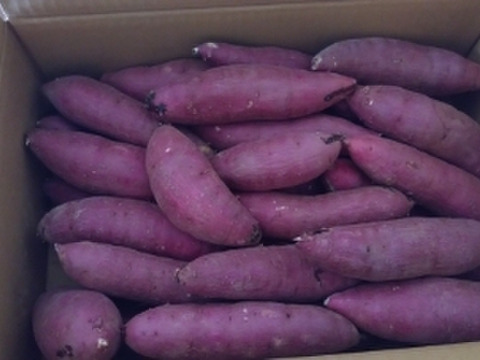 ねっとり甘い！熟成紅はるか　Sサイズ　5kg さつまいも