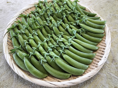 完熟イチゴの野菜セット（4種類以上）