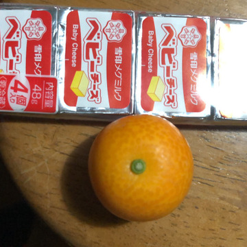キズあり 2l 1kg ガブっと 苦味なしの金柑 贅沢フルーツハウスキンカン 鹿児島県産 食べチョク 農家 漁師の産直ネット通販 旬の食材を生産者直送