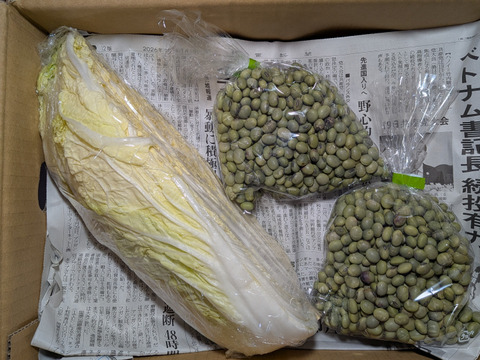 リンゴ、白菜、青大豆