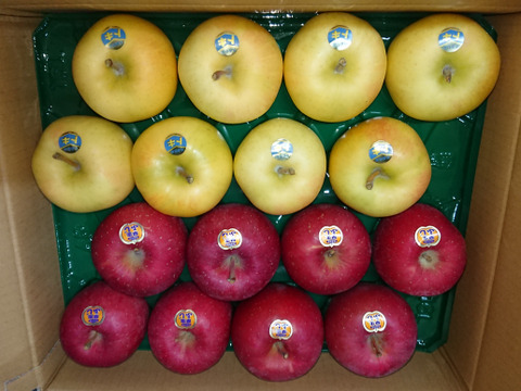 先行予約！涼香の季節　トキ　詰合せ　１０キロ家庭用