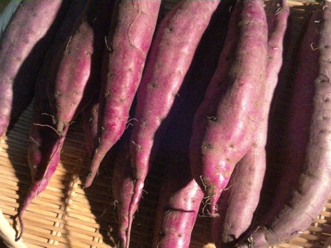 吉原ファームのわがままセット