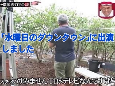 【東京産】フレッシュ生ブルーベリー 100g×8パック_農薬不使用