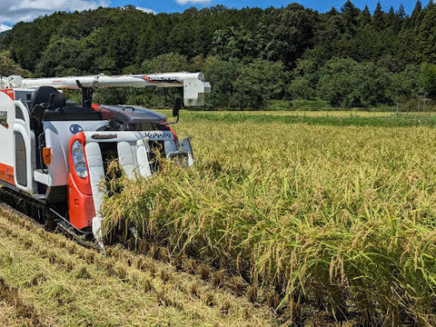 【令和6年新米】♣️もちもち派がハマるお米「夢ごこち」
　京都・京丹後峰山産　特別栽培米３㎏　玄米　 (希望者精米無料)