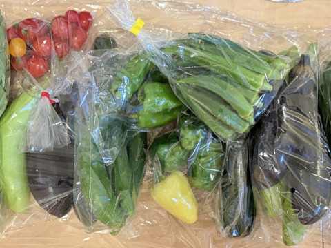 信州四賀より里山の旬野菜セット【M　10品目】