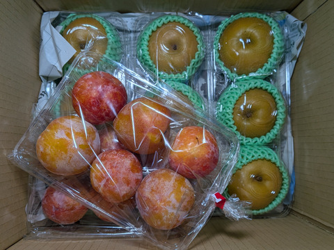 梨、李、シャインマスカット