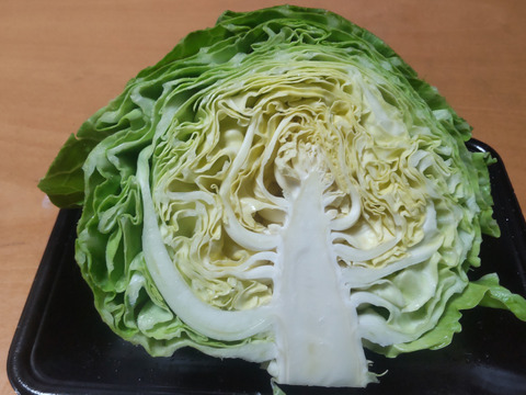 クール便《数量限定》淡路島産の甘くて美味しい新玉ねぎ3kg とグリーンボール詰め合わせ