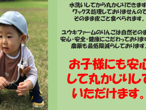 青森県産 「大人気」「１０名様限定販売」プレミアム葉とらずさんふじ自然味5kg糖度14%以上保証