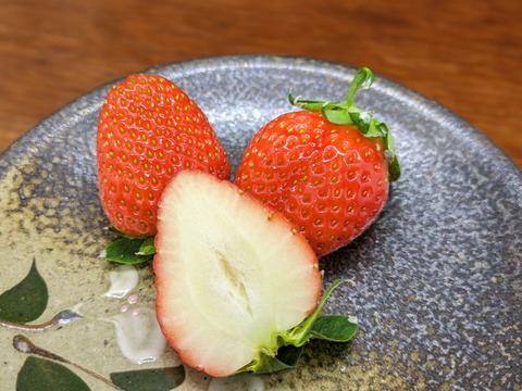 【​限​定​販​売​】 かおり野＆みくのか】いちご食べ比べセット 合わせて2パック(各1 果物