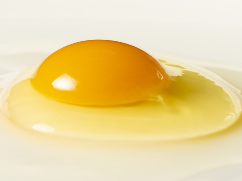 超定番 沖縄産 平飼い卵 20個 自然農園にてEM菌育ちの高級卵 まなたまご 人気の採れたて卵を産地直送で通販お取り寄せ