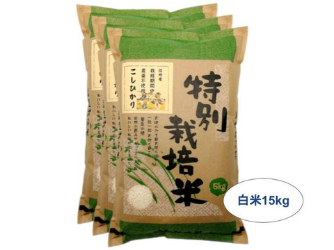 【白米15kg】信州産 農薬不使用米 こしひかり【受注精米】(5kg×3袋)令和2年産