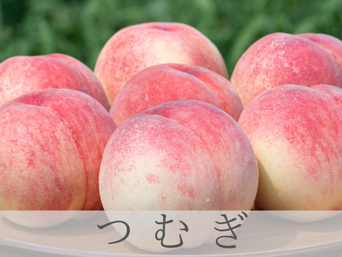 【2026年予約】飛騨の新品種！『つむぎ』　糖度13度以上　1.5kg（4-6玉）