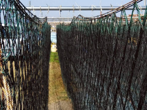 【冬ギフト】自然派プチギフト２箱【焼海苔:四切12枚】【ポストにお届け】自分で切らなくてOK！神奈川ブランド