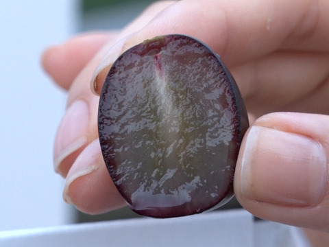 【希少 食べ比べ】牧丘天空の丘ブランド　皮ごと食べられる３色セット約1kg