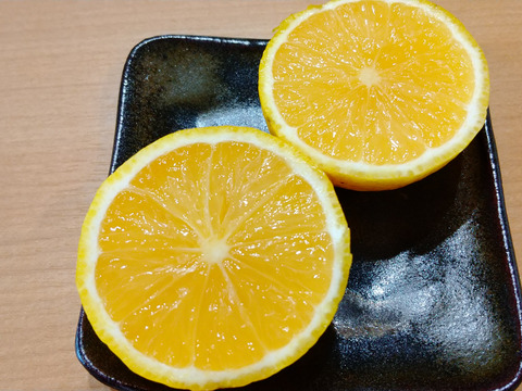 【冬ギフト】種なしカボス　農薬不使用　1.2キロ　たっぷり果汁