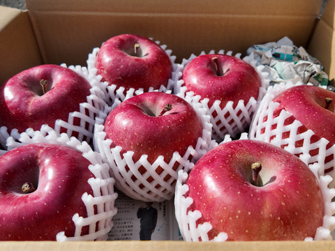 【お待たせしました！】標高730ｍの果樹園からお届け！信州松本育ちのサンふじ🍎りんご　(3kg)【贈答用】