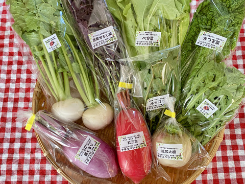 【自然栽培🍀80サイズ】朝採り新鮮！旬菜セットM（３〜５人様向け）
