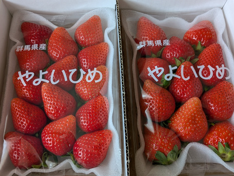 果汁たっぷり❗やよいひめ『群馬いちご』320g×4トレー（2箱）