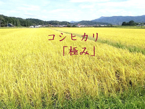 【令和6年新米】♣️農家の忘れられない味　コシヒカリ「極み」数量限定！
京都・京丹後峰山産　
特別栽培米　玄米　5㎏（希望者精米無料）
