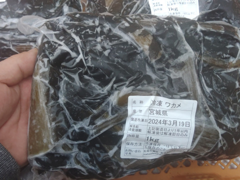 【生のまま冷凍】のワカメ！１０ｋｇ（1ｋｇ入真空パック袋×10個）わかめ  味噌汁に サラダに 塩蔵は嫌いな方におススメです。松島牡蠣屋 分量あり