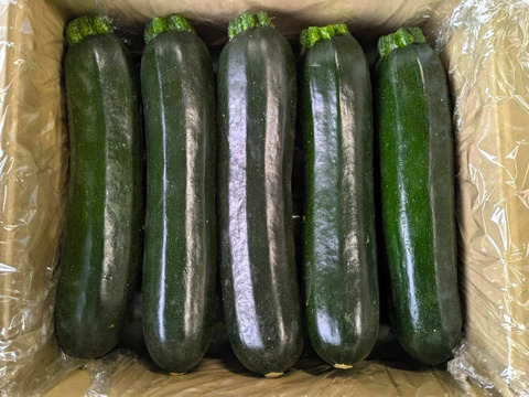 【埼玉県産】今が旬‼お徳用ズッキーニ　(8~9本　約2.5㎏)