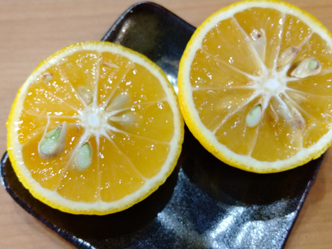 【鍋の季節】ポン酢作りに2種の柑橘セット2キロ　カボスと橙　農薬不使用の自然栽培