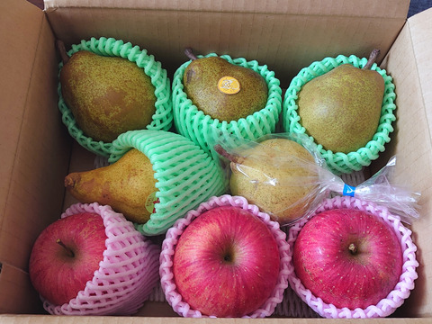 🍐洋梨ラフランス🍎ふじりんご 詰め合わせ 2kg箱まんぱい詰め (2〜4種) ギフト 【冬ギフト】