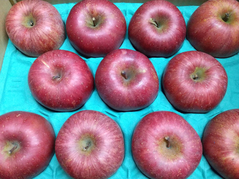サンふじ7～12個入り３キロ🍎