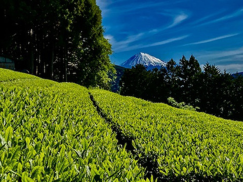 【農薬・化学肥料不使用】粉末緑茶 おくみどり 静岡県産 50g 3袋セット