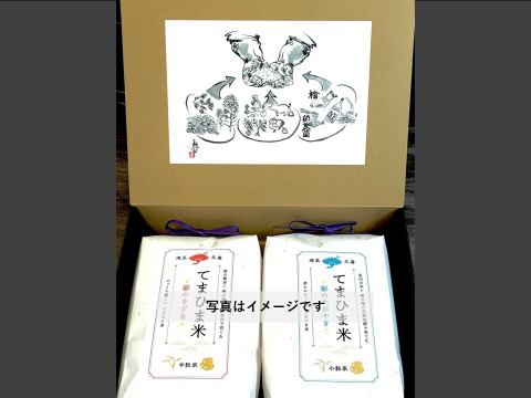 【お米のギフト（贈答用）】おまかせ2種セット 3kg（1.5㎏×2）『てまひま米』