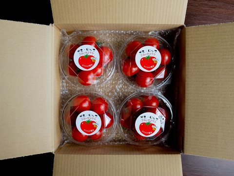 【母の日ギフト】フルーツトマト『ポモロッサ４パック入』※5月1日より順次発送開始！！