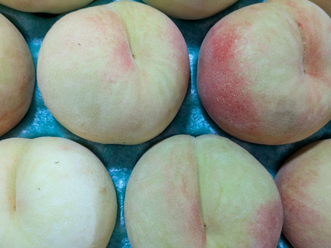 桃あかつき20玉小サイズ