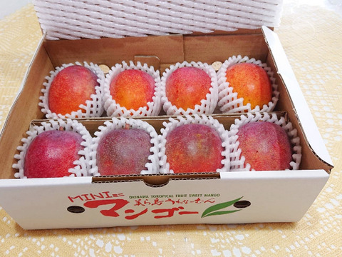 順次発送中》残りわずか！トロ〜リ甘い♪家庭で楽しむ ミニ