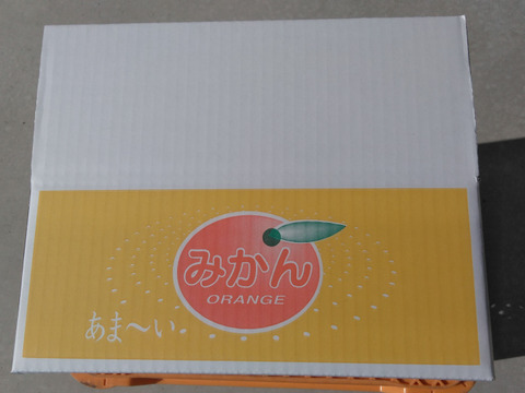 本場高知の土佐市産！　露地土佐文旦　3kg(5個前後)　お届けエリア(北海道・東北・信越)　3L～4Lサイズ　A品※農園独自基準