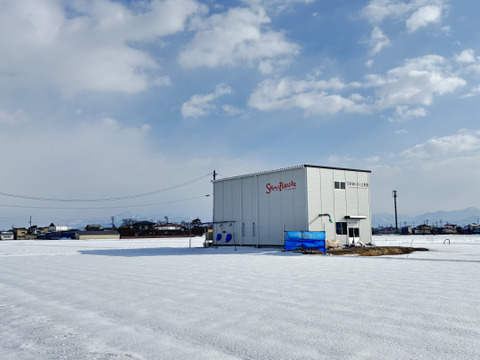 【令和7年新米】【笑う玄米生活・にこにこ玄米・5パック】【冬ギフト】米どころ山形県さがえより大粒！雪若丸玄米パック(300g・2合)　5個入り。玄米食で毎日をにこにこにしたいかたに