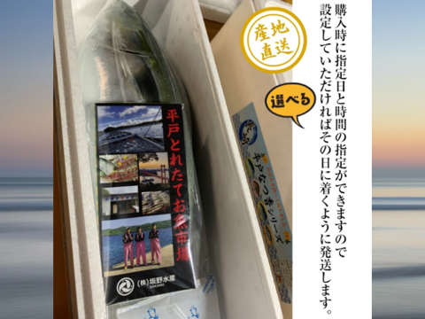 青空レストランで紹介された！
平戸なつ香ブリ（約5ｋｇ）【冬ギフト】【のし対応可能】