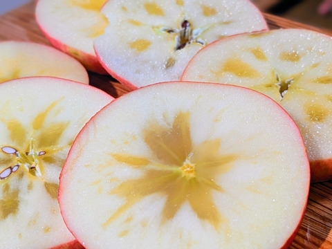 【農薬半減達成】立科町産サンふじ🍎糖度15度以上！たっぷり果汁の高原りんご〈ご家庭用5kg〉