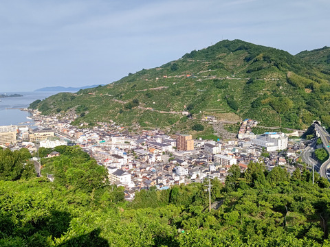 柑高地年間パック４.５キロ入り１２回