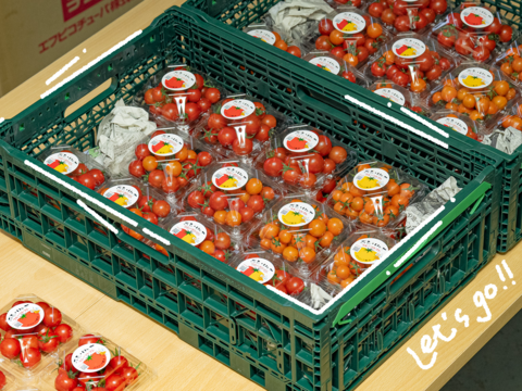 濃厚な甘さ感じるフルーツトマト『ポモロッサ４パック入』