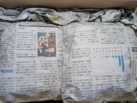 完熟柿と大きいリンゴ