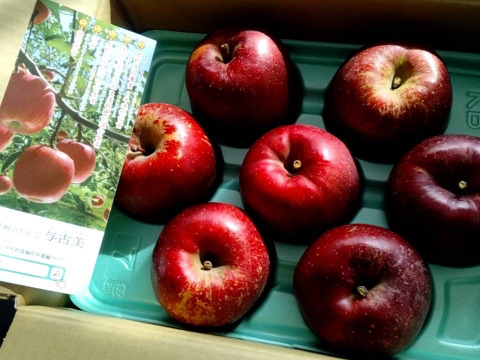 ≪出荷中≫幻のりんご【あいかの香り】約3kg