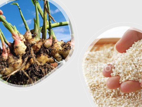 【NHKあさイチで話題】佐賀県産生姜＆米麹使用「熟成蒸し生姜麴パウダー」麹の優しい旨味がプラス！　20ｇ