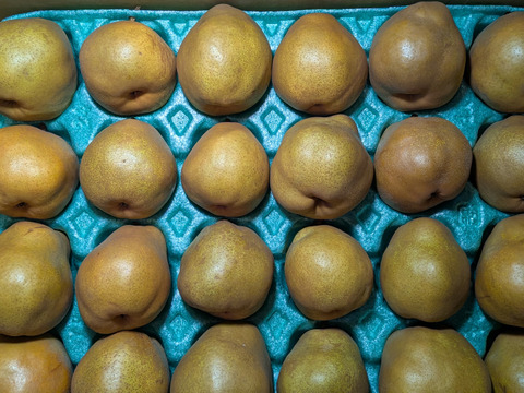 ゴールドラ・フランス