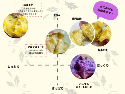 【自然栽培🍠サツマイモ５品種入り（約3.5Kg）】焼き芋にオススメ！人気の５品種が入った食べ比べセット