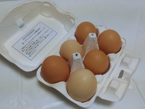 激レア！比内地鶏の屋外平飼い卵34ヶ＋6ケ(割れ補償)
【小分け対応可】